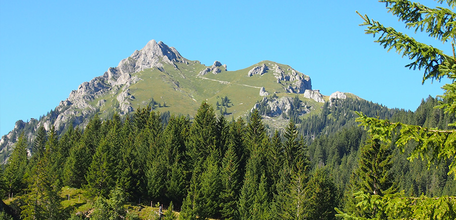 Sommer in Grän